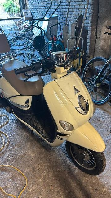 Turbho pisa 50cc beschikbaar voor biedingen