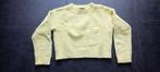 trui tex maat 158, Kinderen en Baby's, Kinderkleding | Maat 158, Gebruikt, Tex, Meisje, Trui of Vest