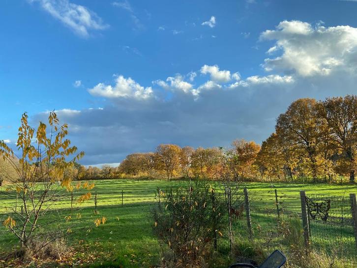 Plekje op Paddock Paradise., Dieren en Toebehoren, Stalling en Weidegang, Weidegang, 1 paard of pony