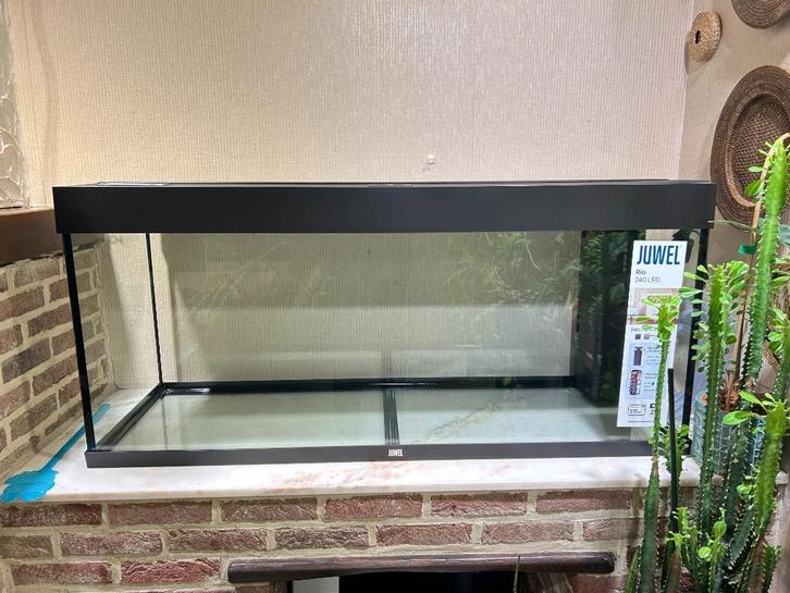 Nieuw Juwel Aquarium 240L te koop, Dieren en Toebehoren, Vissen | Aquariumvissen, Vis