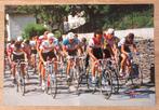 Affiche du Tour de Suisse 1986, Comme neuf, Affiche, Image ou Autocollant, Envoi
