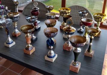 Trofeeën/wedstrijdbekers/awards - zo goed als nieuw beschikbaar voor biedingen