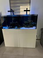 Aquarium marin 350l plus decanthe 1,3m/55/50, Ophalen, Zo goed als nieuw