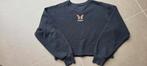 Mooie trui Hollister maat XS, Zwart, Ophalen of Verzenden, Zo goed als nieuw, Maat 34 (XS) of kleiner
