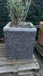Mooie stenen plantenbak, Steen, 60 cm of meer, Tuin, Gebruikt