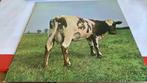 lp Pink Floyd ‎– Atom Heart Mother, Ophalen of Verzenden, Gebruikt, 12 inch, Poprock