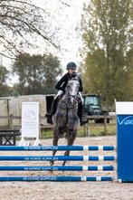 Zadelmak maken, doorrijden en training, Enlèvement ou Envoi