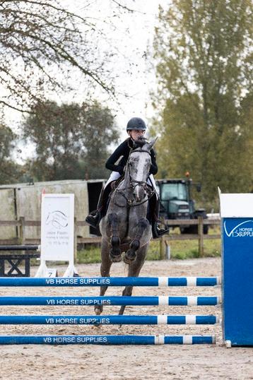 Zadelmak maken, doorrijden en training  beschikbaar voor biedingen