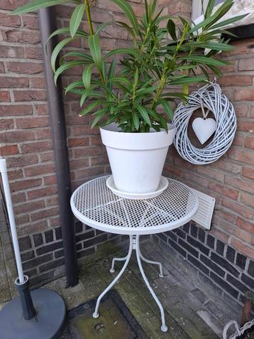 Buitentafeltje!  beschikbaar voor biedingen