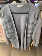 Mooie grijze gilet ecquiss’s maat s/m, Ophalen of Verzenden, Zo goed als nieuw, Maat 36 (S)