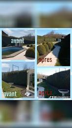 Jardinier 8 année d'expérience