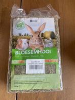 Konijn hamster cavia voer hooi en zaagsel ( houtvezel ), December, Geslacht onbekend, Overige typen, Tam