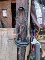 Hoofdstellen, Ophalen, Gebruikt, Dressuur