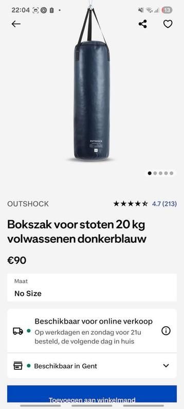 Bokszak en plafondbevestiging en ketting  beschikbaar voor biedingen