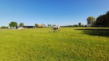 Weidegang met inloopstallen te Kasterlee beschikbaar voor biedingen
