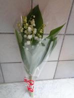 muguet : bouquet 5 brins longues tiges avec emballage, Tuin en Terras, Vaste plant, Halfschaduw, Lente, Ophalen