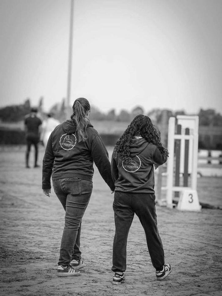 Lessen aan huis, Dieren en Toebehoren, Paarden