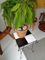 vintage Table d'appoint, support pour plantes fifties, Synthétique, Enlèvement, Utilisé