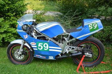 SUZUKI RG250 beschikbaar voor biedingen