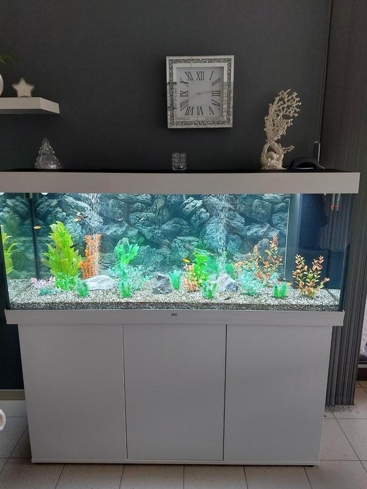 Aquarium avec les poissons, Animaux & Accessoires, Poissons | Aquariums & Accessoires, Enlèvement