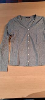 T shirt maat S *, Kleding | Dames, Cicerone, Ophalen of Verzenden, Lange mouw, Maat 36 (S)