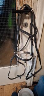 Cob/full hoofdstel met teugels, Dieren en Toebehoren, Paarden en Pony's | Hoofdstellen en Tuigage, Ophalen