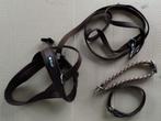 honden leiband + harnas + halsband + wandellus, Enlèvement ou Envoi, Neuf, Laisse pour chien