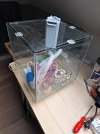 Aquarium met toebehoren, Dieren en Toebehoren, Ophalen, Zo goed als nieuw, Leeg aquarium