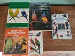 Lot boeken over vogels - volière vogels / parkieten / ..., Boeken, Ophalen of Verzenden, Gelezen, Vogels