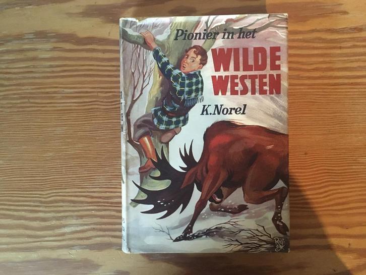 K. Norel - Pionier in het wilde westen, Boeken, Kinderboeken | Jeugd | 10 tot 12 jaar, Gelezen, Fictie, Verzenden