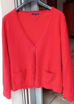 rood dames golfje Tommy Hilfiger 44/46 NIEUW, Kleding | Dames, Truien en Vesten, Tommy hilfiger, Maat 42/44 (L), Nieuw, Ophalen of Verzenden