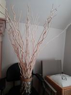 Krultakken, Huis en Inrichting, Woonaccessoires | Droogbloemen, Ophalen