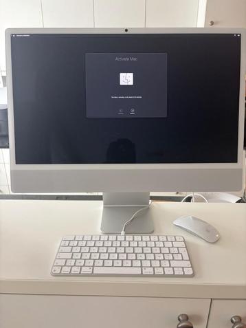 IMAC 24 2024 6 maand oud beschikbaar voor biedingen