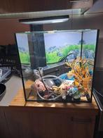 Aguarium, Dieren en Toebehoren, Vissen | Aquaria en Toebehoren, Ophalen, Zo goed als nieuw