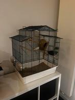 Vogelkooi met attributen, Dieren en Toebehoren, Ophalen, Gebruikt, Vogelkooi