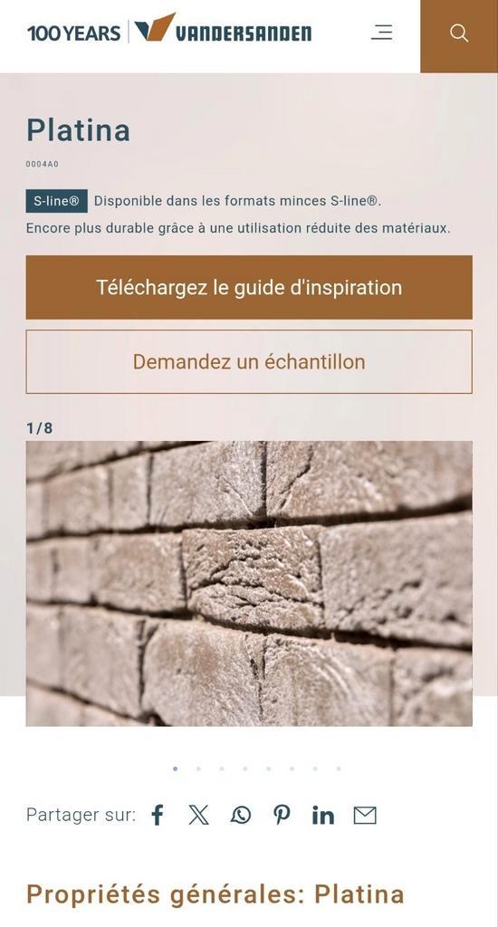 Briques PLATINA 4,5x21,5x10 cm VANDERSANDEN, Doe-het-zelf en Bouw, Metselstenen, Zo goed als nieuw, Bakstenen