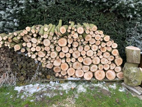 Bois de chauffage, Tuin en Terras, Brandhout, Ophalen