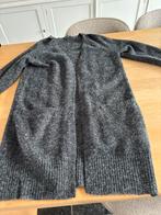 Lang vest voor dames, Maat 38/40 (M), Ophalen of Verzenden, Gedragen, Désiré