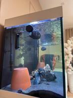Aquarium Juwel Rio 350, Ophalen, Zo goed als nieuw