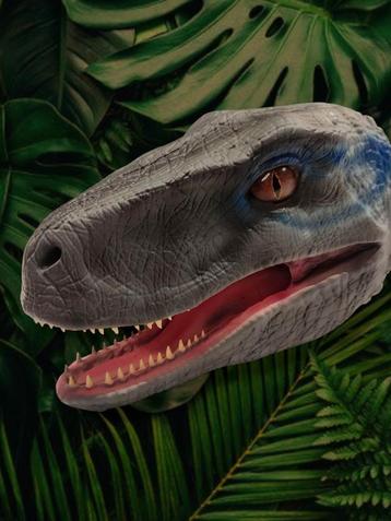 velociraptor Blue met muur bevestiging beschikbaar voor biedingen
