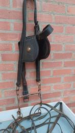 Hoofdstel Belgisch trekpaard, Enlèvement ou Envoi