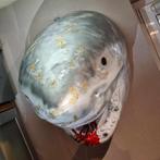 Polyester haaienkop UNIEK MODEL, goud zilver 80 cm, Ophalen, Nieuw, Overige typen