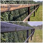 Carboleum, Onderhoudsolie, Hekwerk, hout, Schutting, Dieren en Toebehoren, Weidegang, 4 paarden of pony's of meer