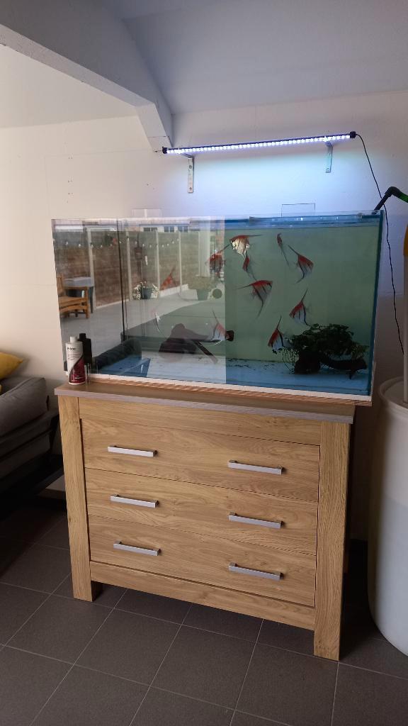 Aquarium te koop, Dieren en Toebehoren, Vissen | Aquaria en Toebehoren, Zo goed als nieuw, Ophalen of Verzenden