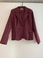 Blazer Terra di Siena, Terra di Siena, Zo goed als nieuw, Jasje, Ophalen