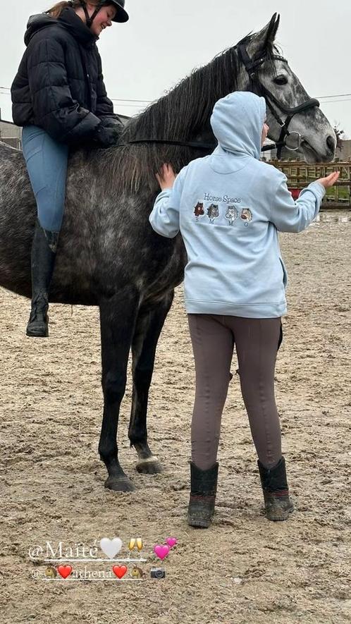 Lessen op maar van ruiter en paard!, Dieren en Toebehoren, Paarden