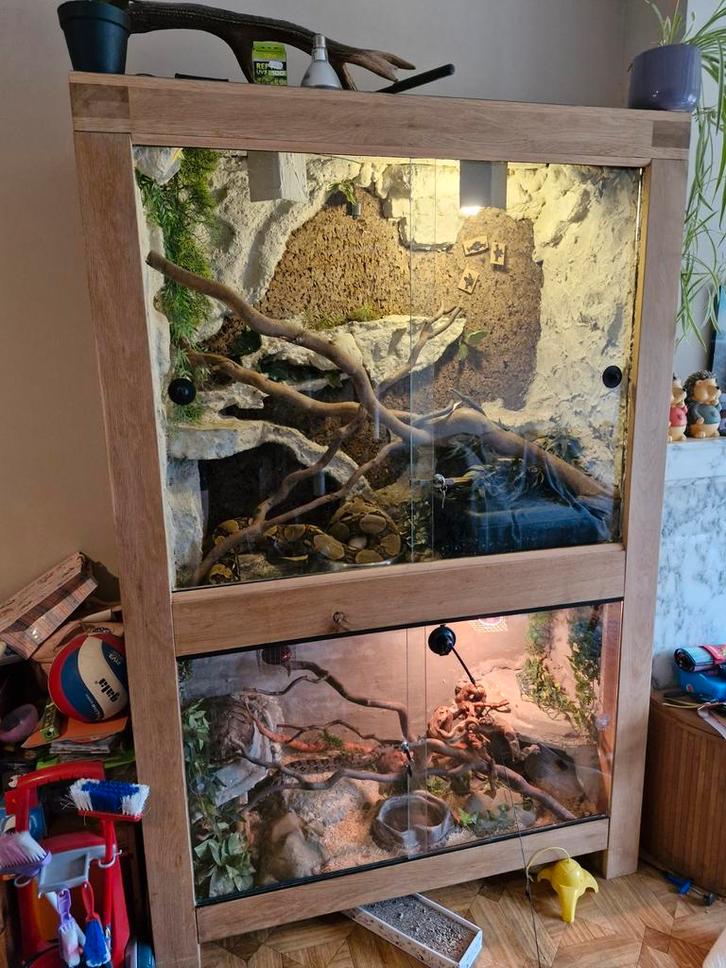 Double terrasse dans une armoire en chêne, Animaux & Accessoires, Reptiles & Amphibiens | Accessoires, Enlèvement