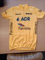 wielershirt ADR-Paternina-Bottecchia 1989, Enlèvement, S
