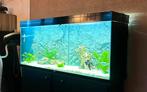 Aquarium 120cm Ciano, Ophalen, Gebruikt, Leeg aquarium