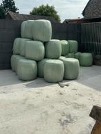 Verschillende mais bollen, Dieren en Toebehoren, Ophalen